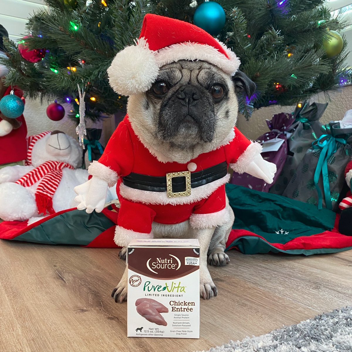 shaqthepug's tweet photo. #ad The only thing I want for Christmas this year is @nutrisourcepetfoods Pure Vita Chicken Entre Tetrapaks. Save 15% off with code:Shaq15 https://t.co/w33ziWBLxN #nutrisource #shoplocal https://t.co/qCr7ulkE3l
