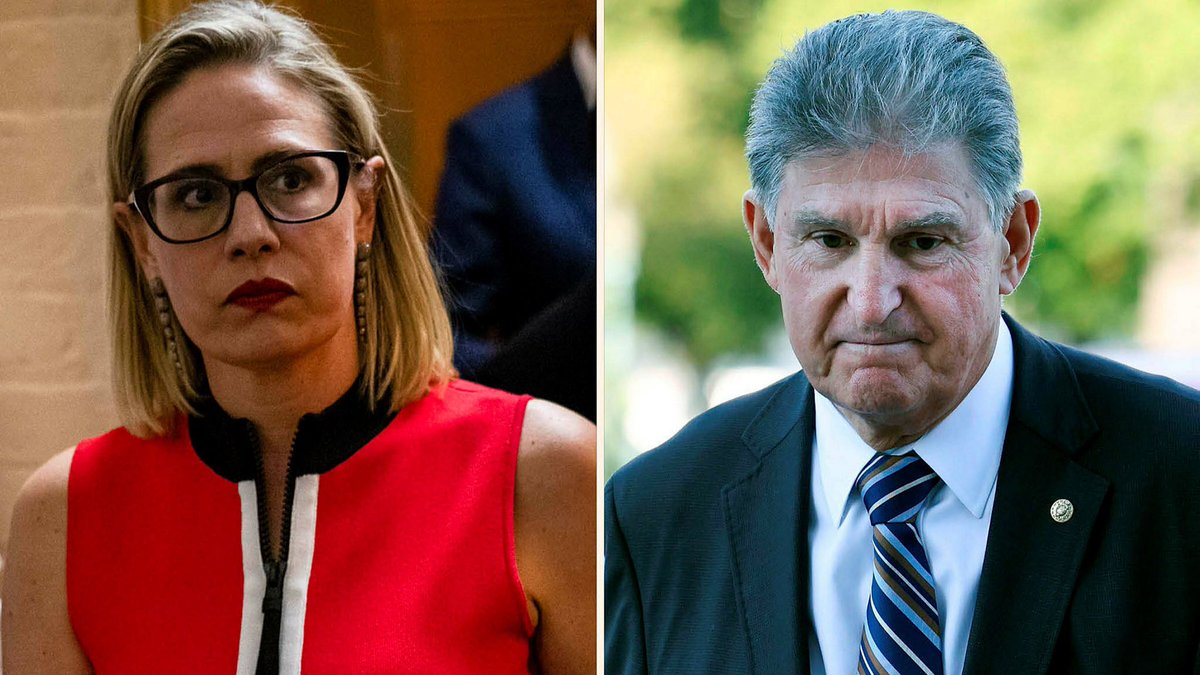 the_resistor's tweet photo. Can somebody Please send a TEXT to @Sen_JoeManchin @SenatorSinema & Remind them They WORK for The American 🇺🇸 People, NOT Themselves?
#SenatorsForSALE https://t.co/ijsoGGWlks