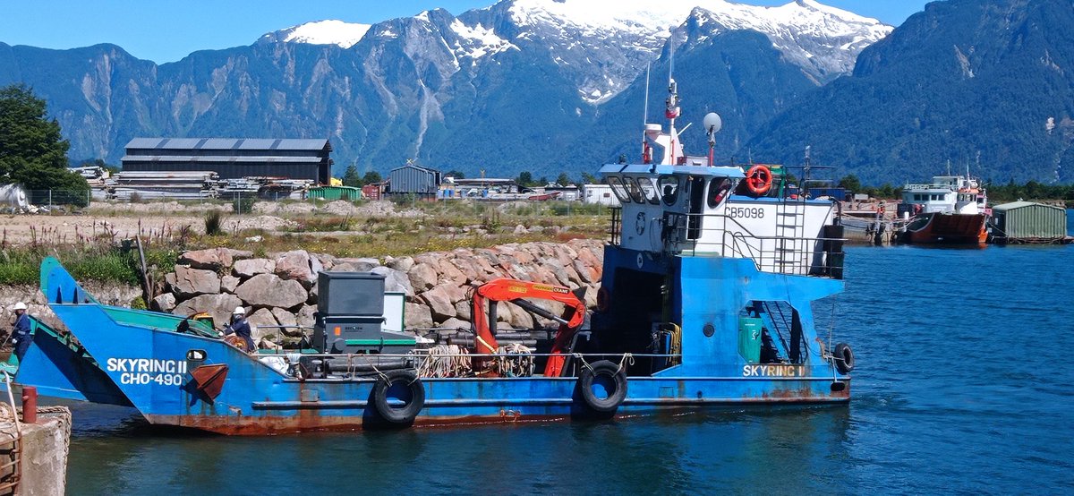 meconomiaaysen's tweet photo. #Aysén: El Seremi de Economía @CAPATOL participó del cierre del proyecto del sector acuícola #ConectayColabora de @Corfo que tritura plástico a bordo de embarcación para la limpieza de playas del litoral de Aysén. Una iniciativa colaborativa de #EconomíaCircular #Coyhaique https://t.co/HV2lv6onAC