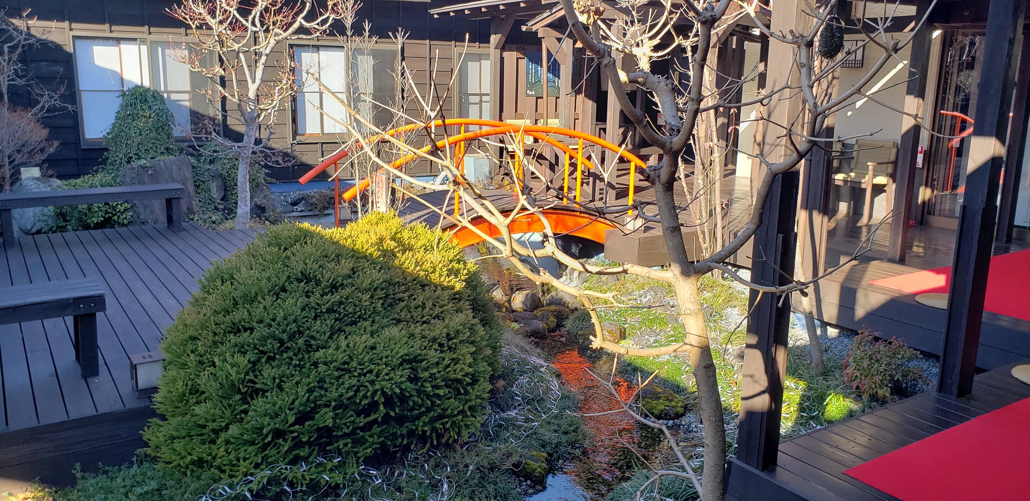 猫島のにゃんこ 秩父に行って温泉だけ入って帰ってきたー 足湯が最高でしたよー 皆さんも 温泉好きですかー O W O 温泉 星見の湯 秩父 埼玉 ドライブ T Co Miqovxzhvv Twitter