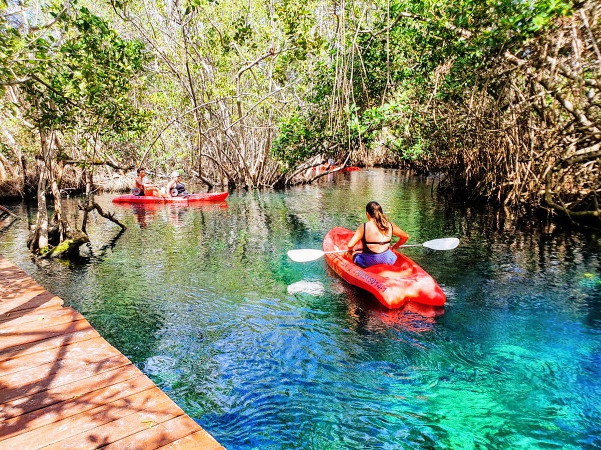 TresRiosResort's tweet image. Our kayak tour is so much fun! (And more difficult than you’d imagine. 🤣 ) #SunsetWorldIsBack