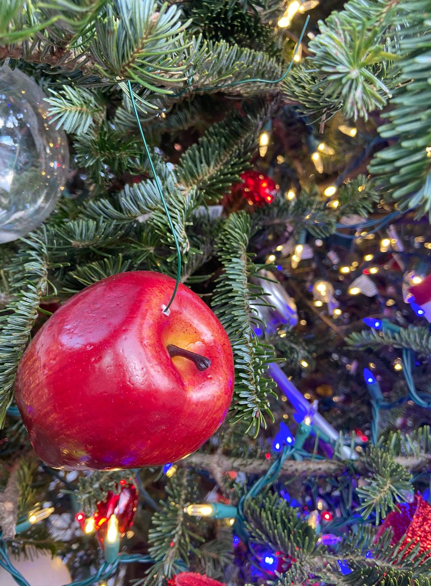 FlorianaDC's tweet photo. "Teaching is the greatest act of optimism." - Colleen Wilcox
We themed our Floriana tree around teachers this year to give them the spotlight they deserve.
Stop by to see the tree in person!
#teachertree #ditostree #florianatree #bidentree https://t.co/dBPHxddJ1D