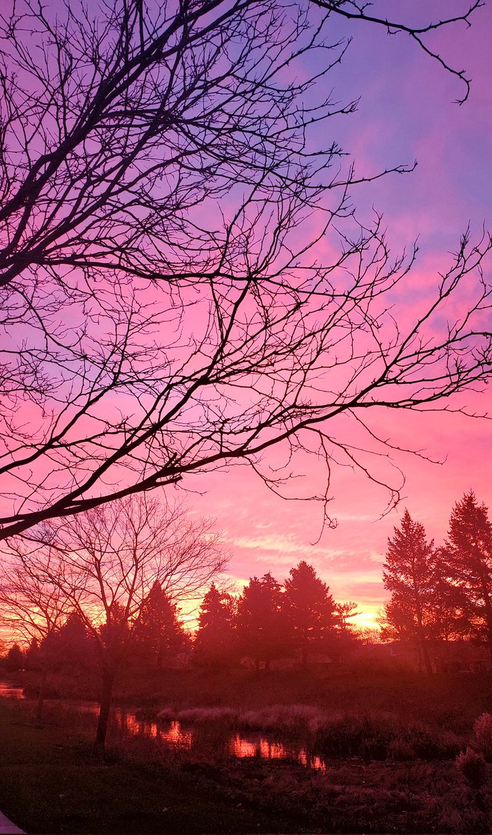 해돋는 풍경 속에서  동네 한바퀴 뛰어본다
떠 오르는 붉은 빛이 강하다
