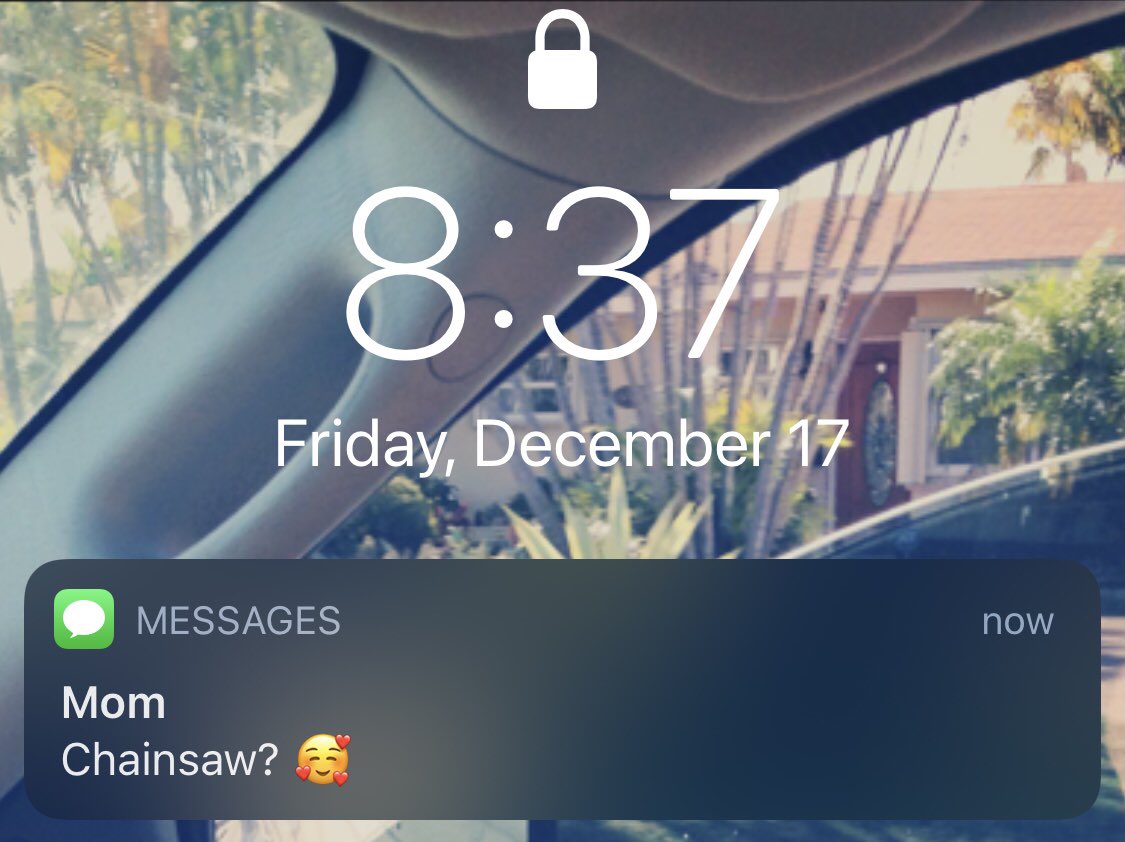 Fun text from my mom