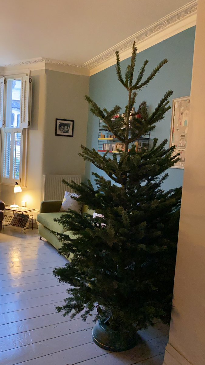 Cally Beaton ON TOUR NOW tweet media