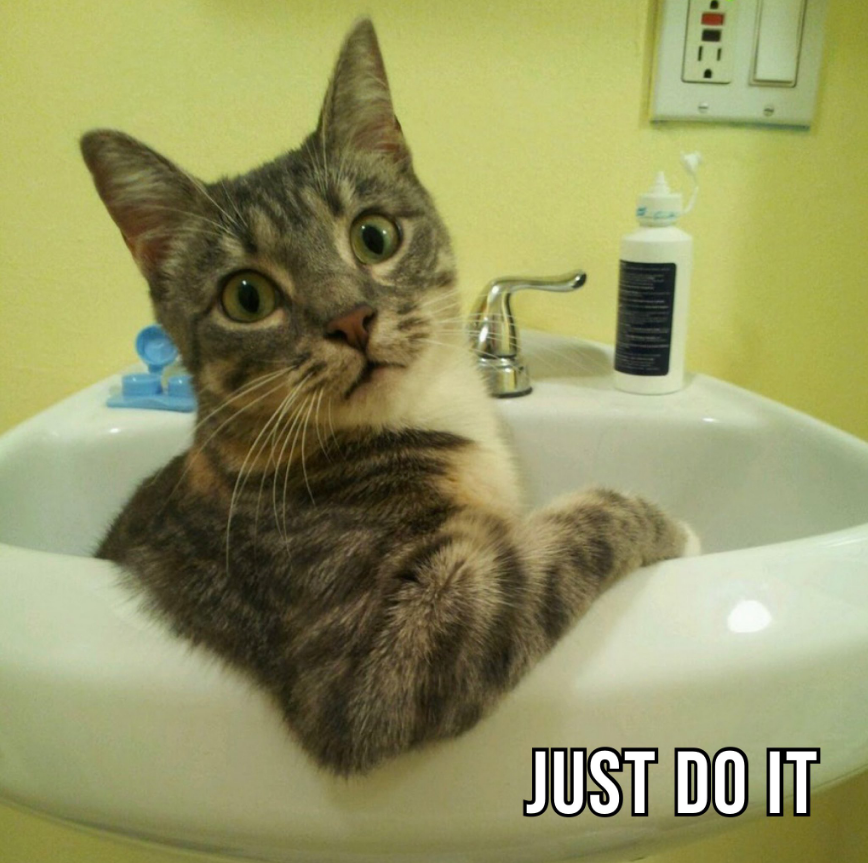 catecoin's tweet photo. Hello and welcome to #CATurday — Cat culture starts here!

Share cat memes, photos, gifs, videos…
Tag: #catecoin
(Like and retweet like a pro) https://t.co/oADGZNTneW