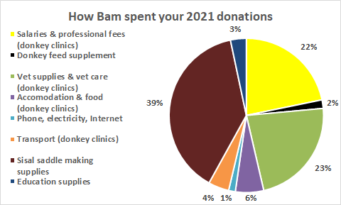 BamAnimal tweet picture