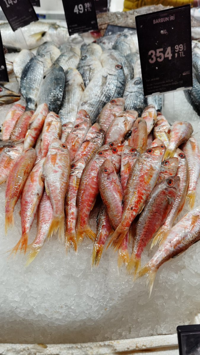 Barbun Bey diyeceksiniz.
Kg 355 TL