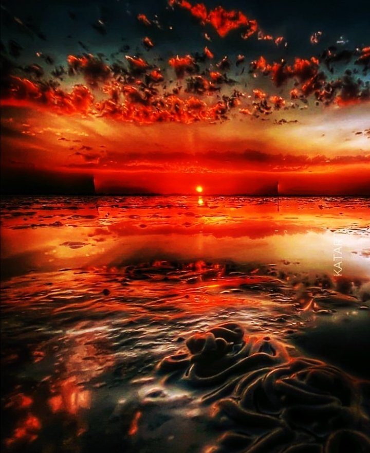 David88_01's tweet photo. #beauty #NaturePhotography #SaturdayFeeling https://t.co/EILU21RKoZ