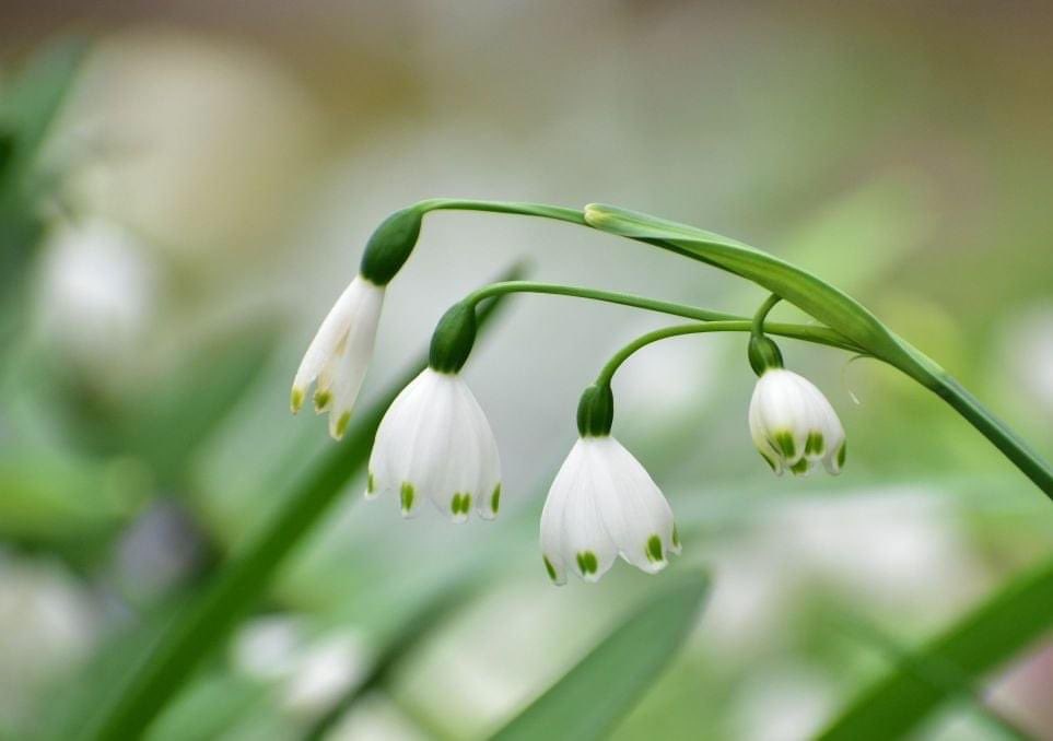 12月19日 Twitter Search Twitter