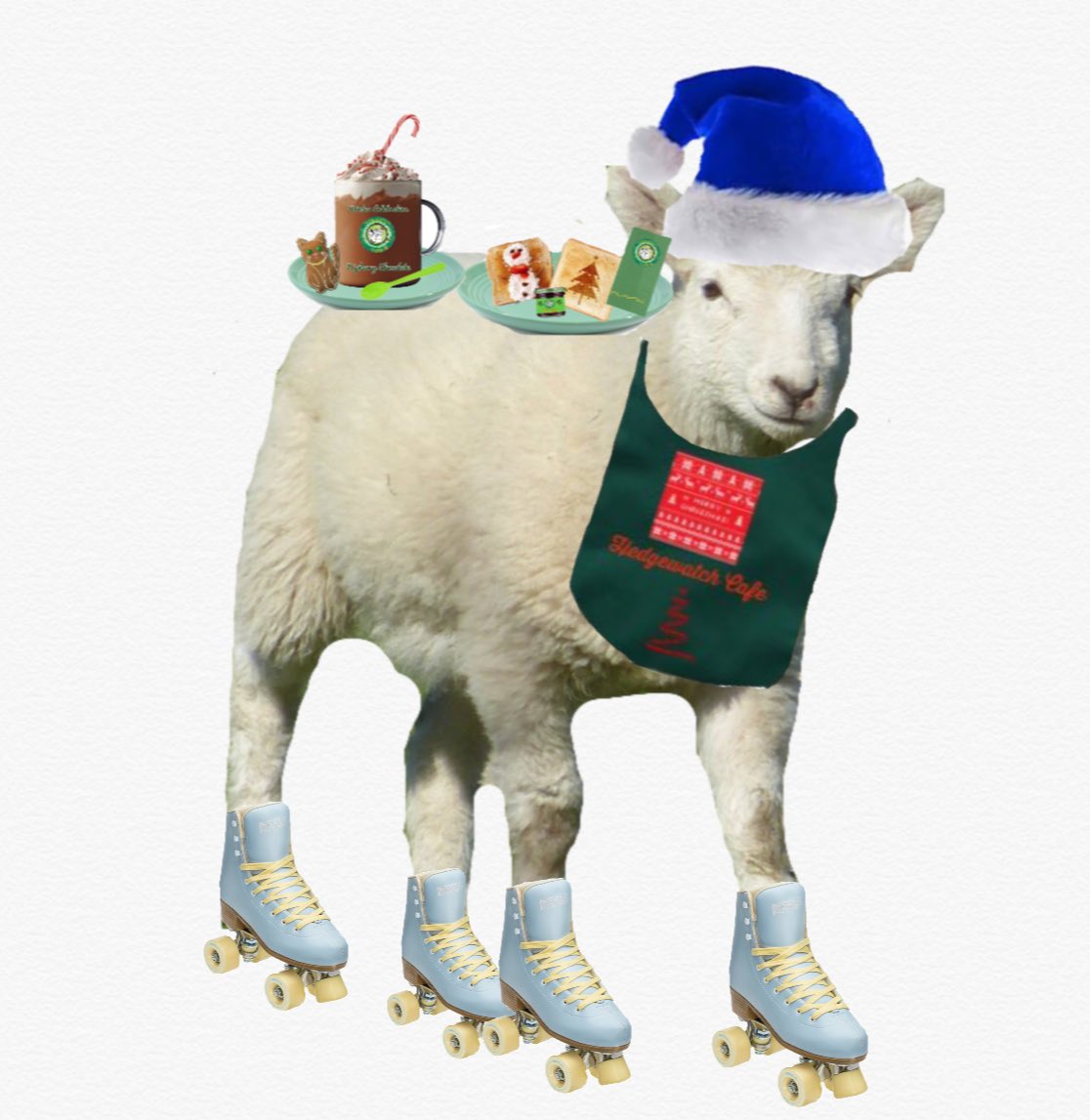 BungandZip's tweet photo. Watchout furiends ! Baaarbara is skating around the buffet table like a baaaallet dancer #sheeplake #hedgewatchcafe https://t.co/aimaz6uj5f