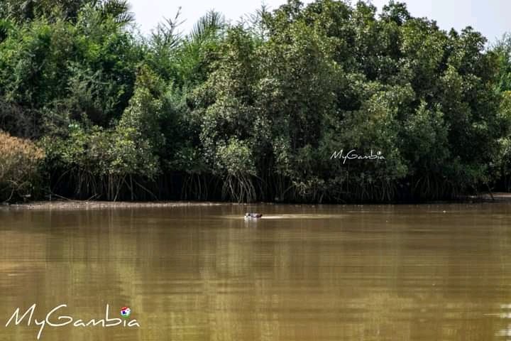 KAWSU OL J (@kawsuol) on Twitter photo 