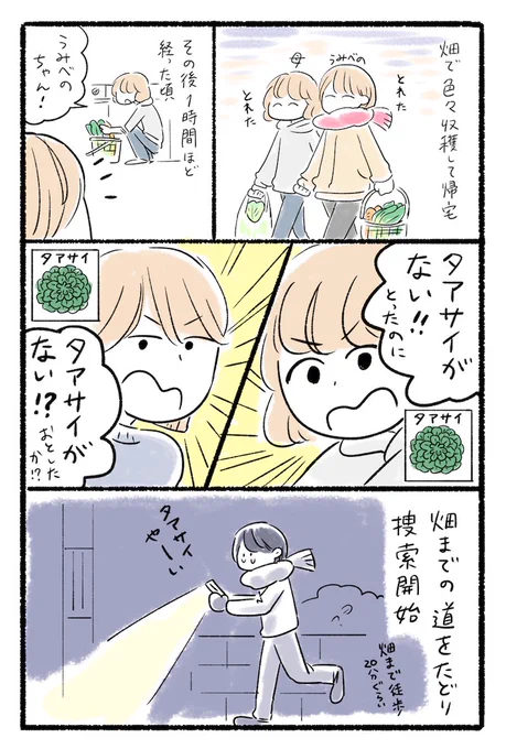 wantedタアサイ 