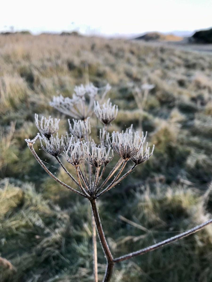 cathy_medlock's tweet photo. A bitterly cold but beautiful morning at #Balmedie beach. #frozensand a delight for the #grandsons https://t.co/ruIQcqsVag