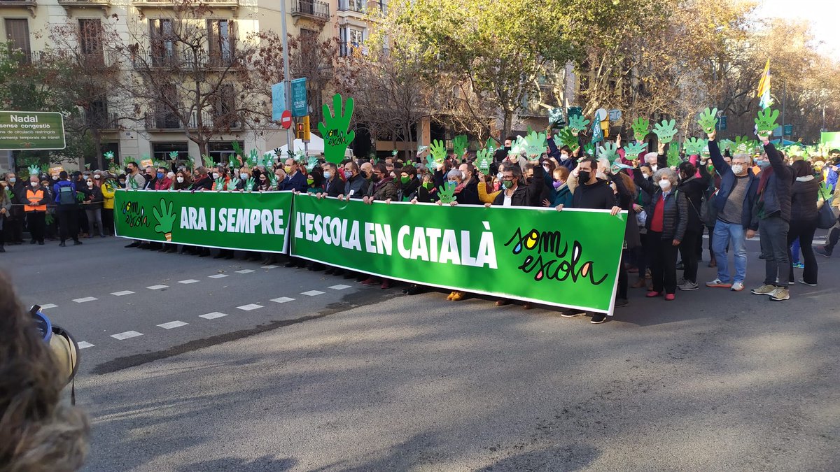 FMRPedagògica tweet media