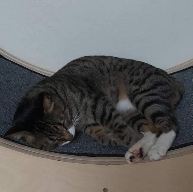 SKZC4TB0Y's tweet image. 