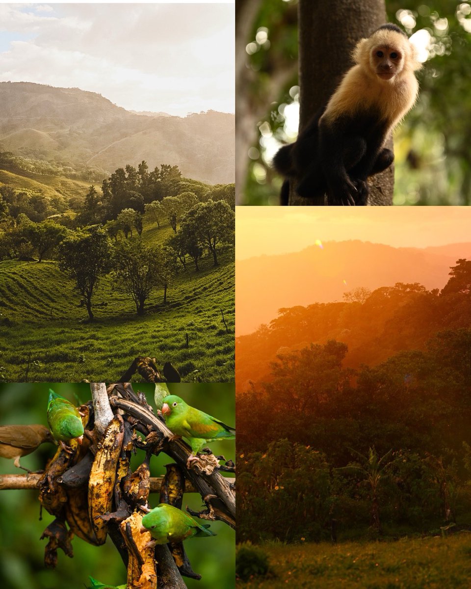 SeanCarrPhoto's tweet image. Costa Rica #photography #CostaRica #travel #NFTs