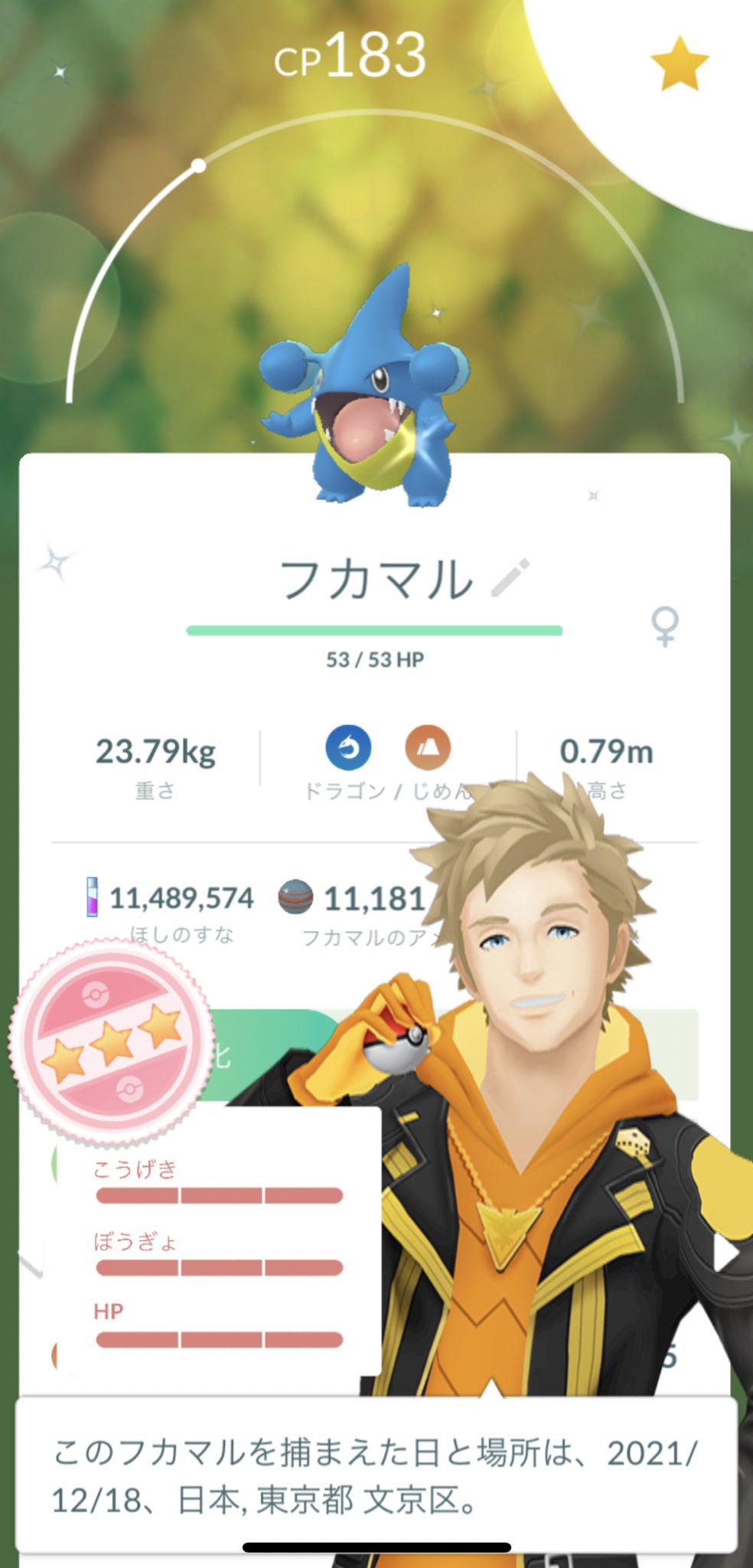 ピカママ P1kamama 私にとってポケモンは 小学生の赤緑時代に苦労して捕まえたミニリュウを進化させたカイリューの可愛さ 強さに感動したし はたまた大学生のダイパプラチナ時代の環境を席巻したガブリアスの格好良さに痺れていたら 月日は流れて今日