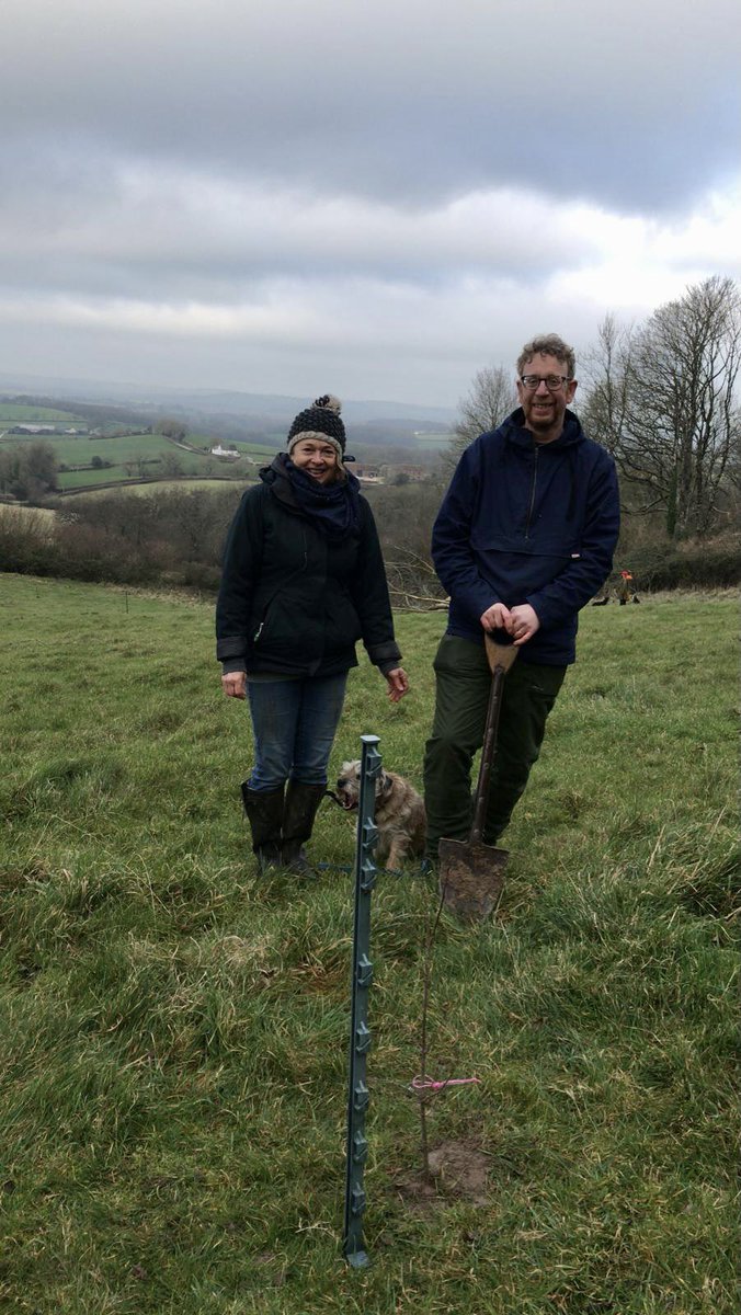 It’s fine to plant a tree especially when it’s the centenary of @HilfieldFriary 100 #oaks for 100 years creating a #wood pasture linking woodlands & hedges for wildlife. It’s me, my lovely wife Lyn and our hound Ned with our oak! #FeelGoodSaturday