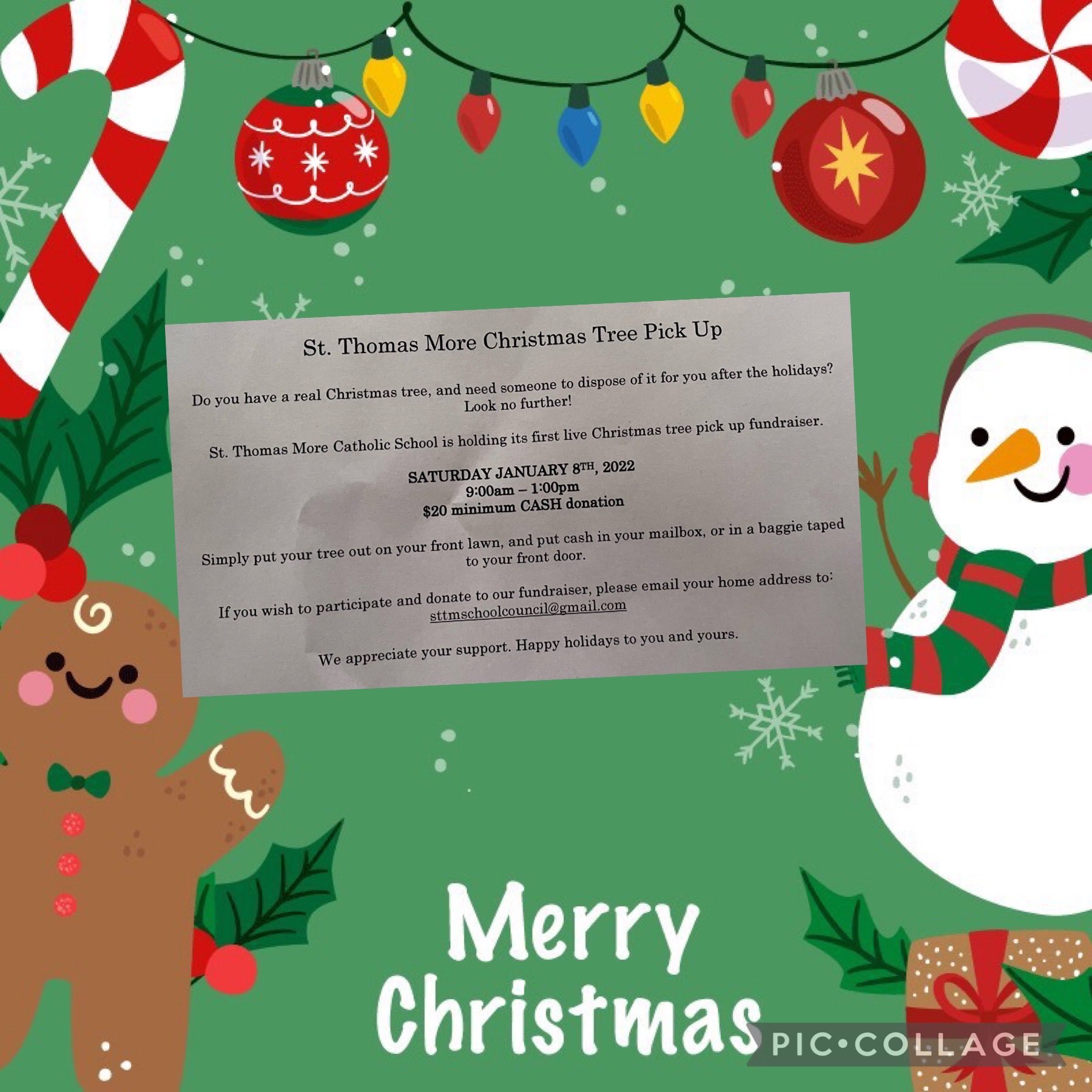 St Thomas More Christmas 2022 St. Thomas More Cs On Twitter: "Real Christmas Tree Pickup Sponsored By Our  Sttm School Council. $20 Cash Gets Your Tree Picked Up And Disposed Of!  Just Leave It On Your Lawn!