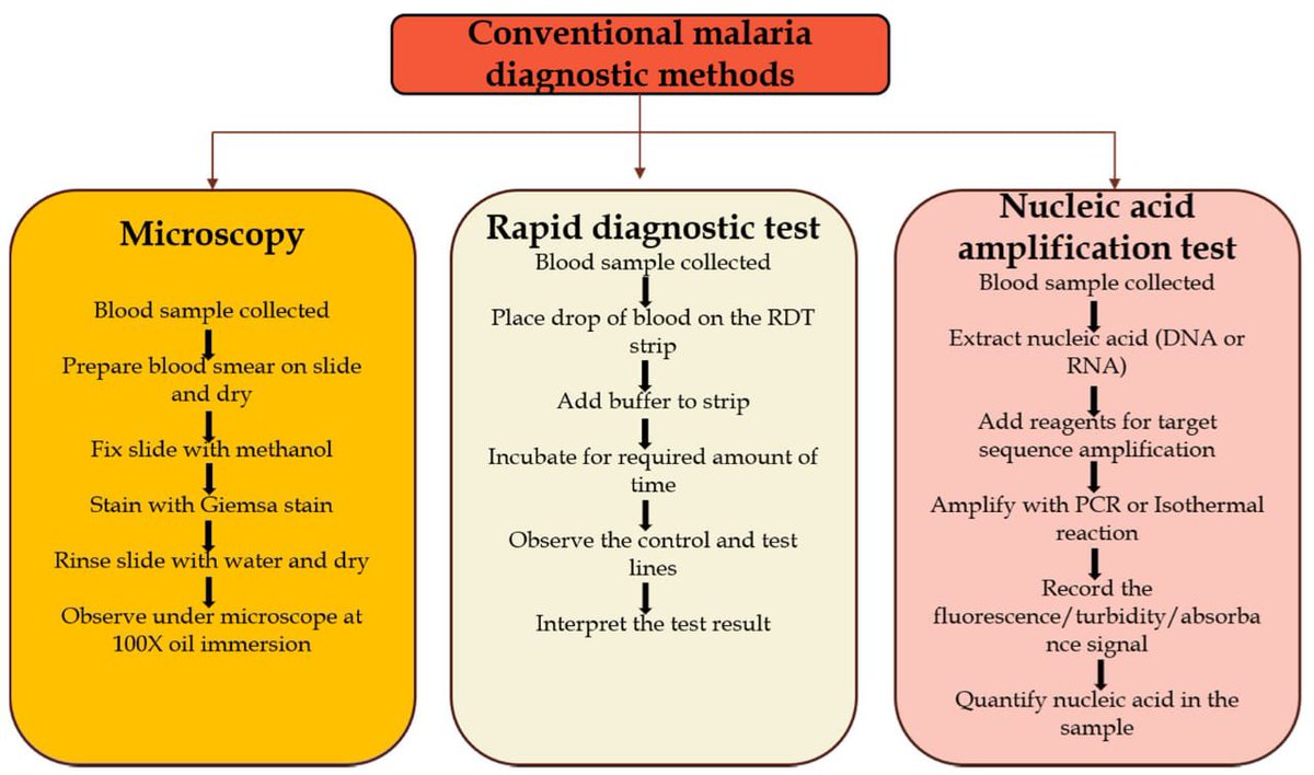 Малярия тестирование. Malaria diagnosis. Diagnostic method. Duodenostasis Diagnostic methods. Diagnostic methods Allergy.