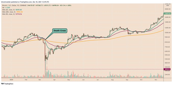 bitcoin_Lisa tweet media