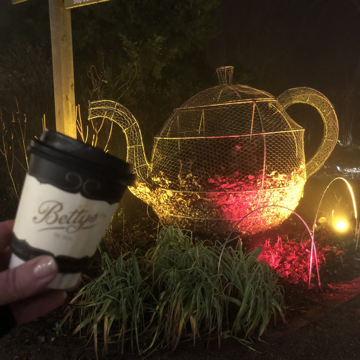 Nikki Appleton tweet media