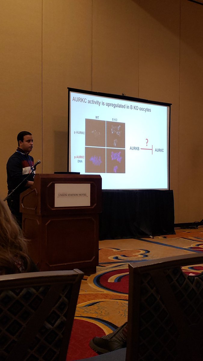 Daniel Jung (@dan_gyu) on Twitter photo Amazing talks by our boss <a href="/KASchindler27/">Dr. Karen Schindler</a> and postdoc <a href="/MansourAboelen1/">Mansour Aboelenain</a> at #SSR2021 ! Amazing talks by our boss <a href="/KASchindler27/">Dr. Karen Schindler</a> and postdoc <a href="/MansourAboelen1/">Mansour Aboelenain</a> at #SSR2021 !