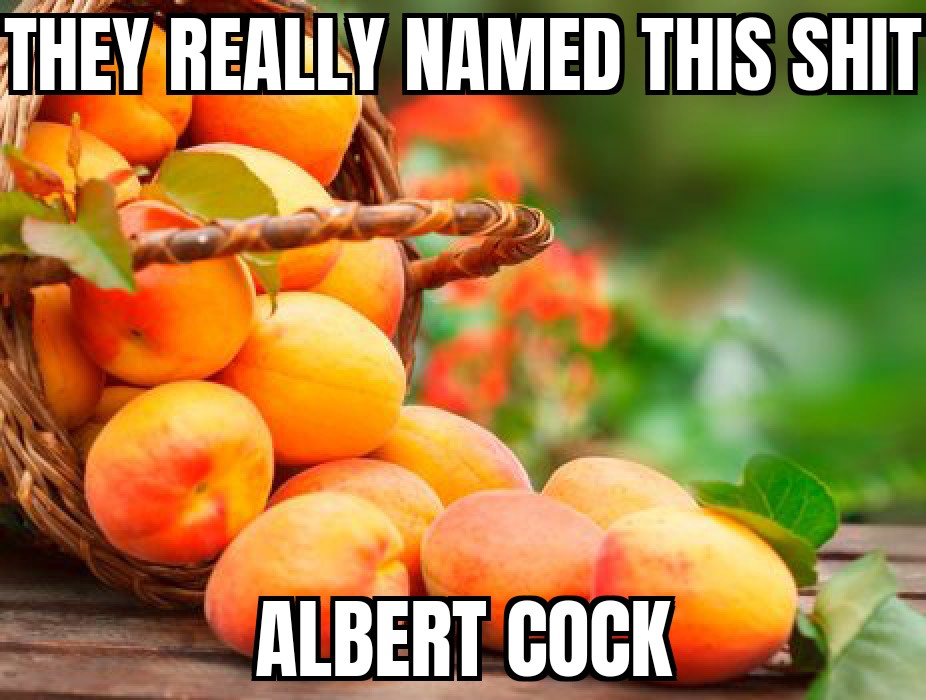 Ruhige Ratte 🍉 (@ratarrata_) on Twitter photo 