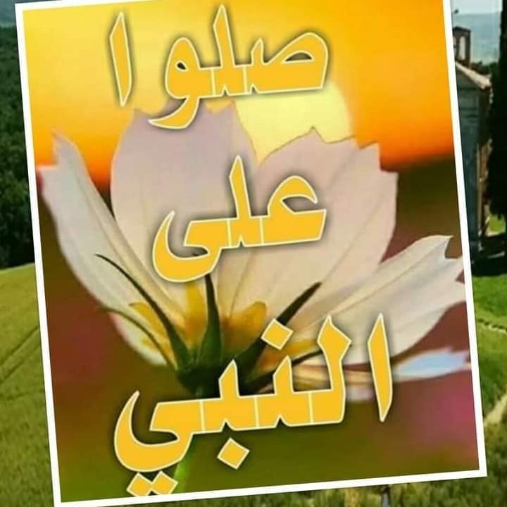 AseAwe3 tweet picture
