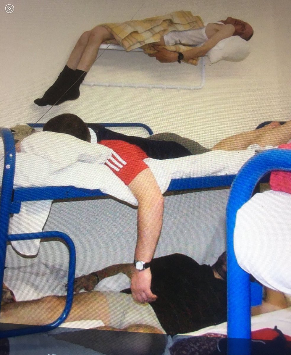TonyRees11's tweet photo. Here is the legendary Loui sleeping on a towel rail Can’t beat that really https://t.co/FWrTOEZXsb