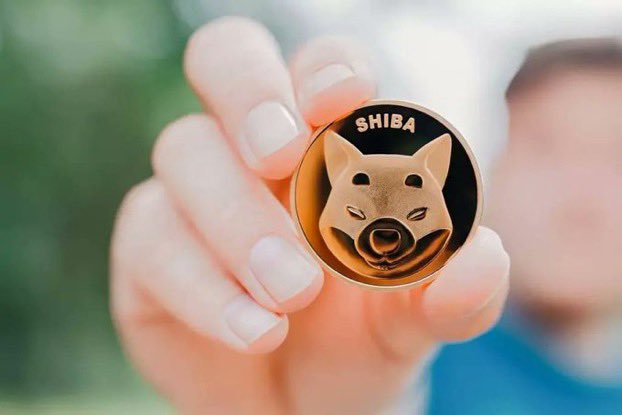 Shiba Inu News tweet media