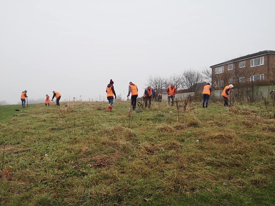 Pudsey Pacers (@pudseypacers) on Twitter photo 🌳🌳🌳Pudsey Pacers ‘Tree not Tee’ initiative in the last <a href="/Pudsey10k/">Pudsey Legal 10k</a> proved a great success, raising £500 for tree-planting. The site for the tress is at Hough Side and finally today our club members got busy planting! Thanks to everyone for helping make this such a success! 🌳🌳🌳Pudsey Pacers ‘Tree not Tee’ initiative in the last <a href="/Pudsey10k/">Pudsey Legal 10k</a> proved a great success, raising £500 for tree-planting. The site for the tress is at Hough Side and finally today our club members got busy planting! Thanks to everyone for helping make this such a success!