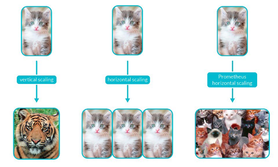 Codeseer's tweet image. 