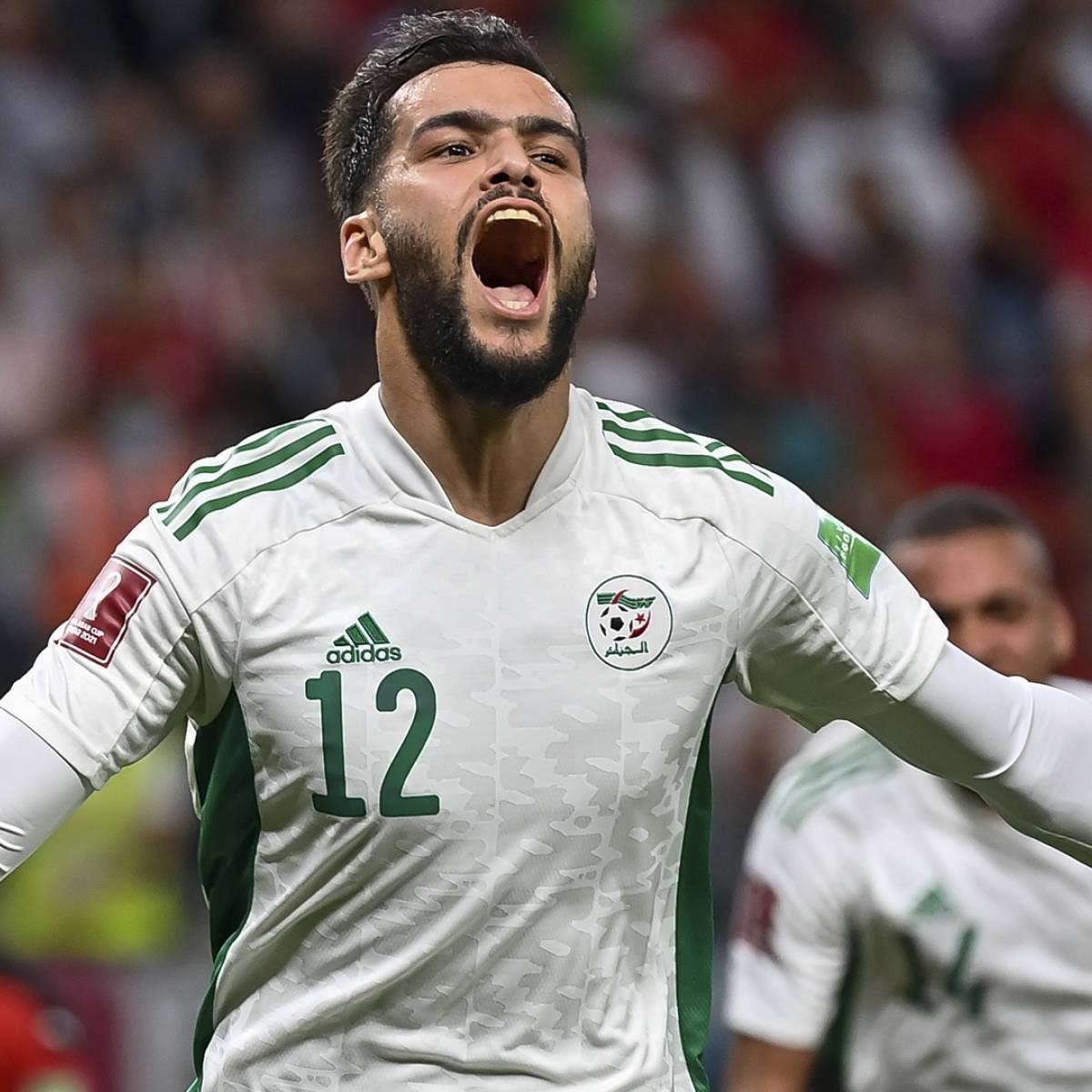 lnstantFoot's tweet photo. L’Algérie est l’une des meilleures sélections du monde :

🏆  CAN 2019 
🏆 #FIFArabCup 
📈 33 matchs sans défaite toutes compétitions confondues 

… 

⌛️ CAN 2022 
⌛️ Coupe du Monde https://t.co/t1Sbrz22ZK