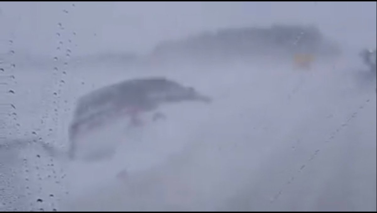 GMB NEAS tweet media