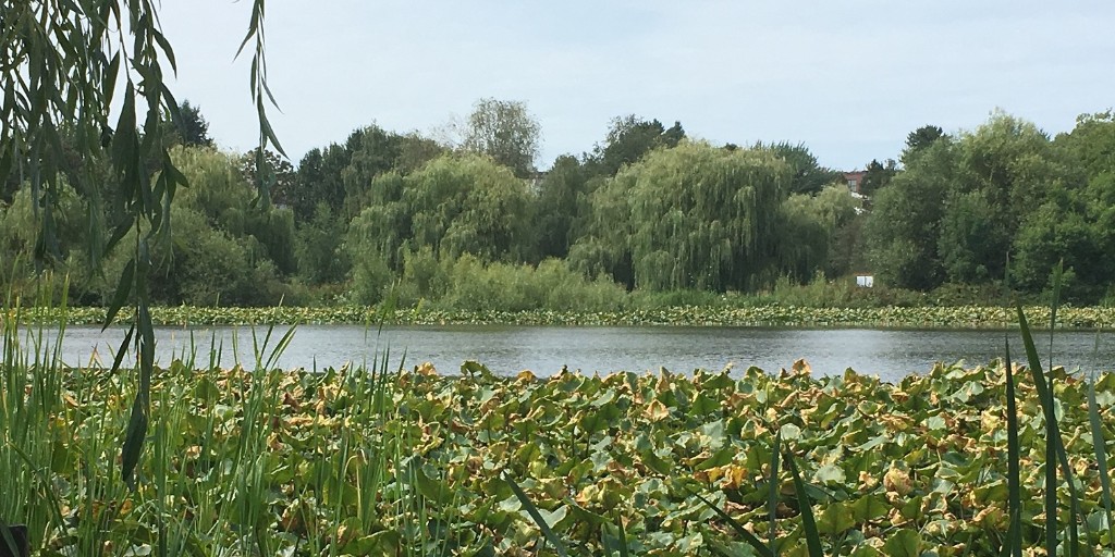 The John Hendry (Trout Lake) Park Renewal Plan survey has been extended until December 21! Check out the draft recommendations for renewing the park and share your feedback by visiting: ow.ly/HCXV50HcKR8