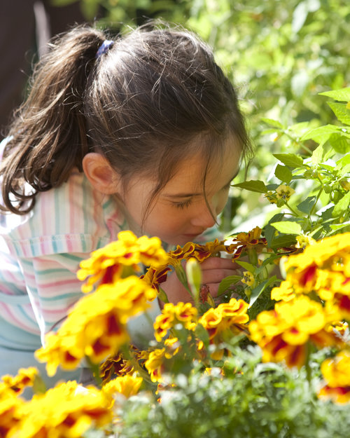 Cambridge Chamber MA (@cambridgechambr) on Twitter photo <a href="/CitySprouts/">CitySprouts</a> cultivates curiosity in Cambridge students with their urban garden programs. Their programs give kids a chance to learn more about the natural world hands-on! Donate today to help fund these valuable programs!
ow.ly/EHqp50HbB3c <a href="/CitySprouts/">CitySprouts</a> cultivates curiosity in Cambridge students with their urban garden programs. Their programs give kids a chance to learn more about the natural world hands-on! Donate today to help fund these valuable programs!
ow.ly/EHqp50HbB3c