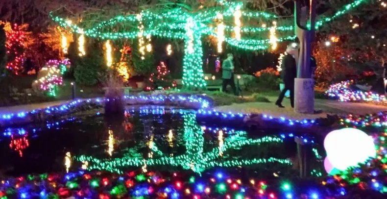 There are a couple weeks left to catch the <a href="/QCBotanical/">QC Botanical Center</a> Center's annual Winter Nights Winter Lights display! 
This season is the biggest yet, as the outdoor gardens are twinkling with more than 160,000 lights.
Here's when you can see this gorgeous display- buff.ly/3oNmjf2