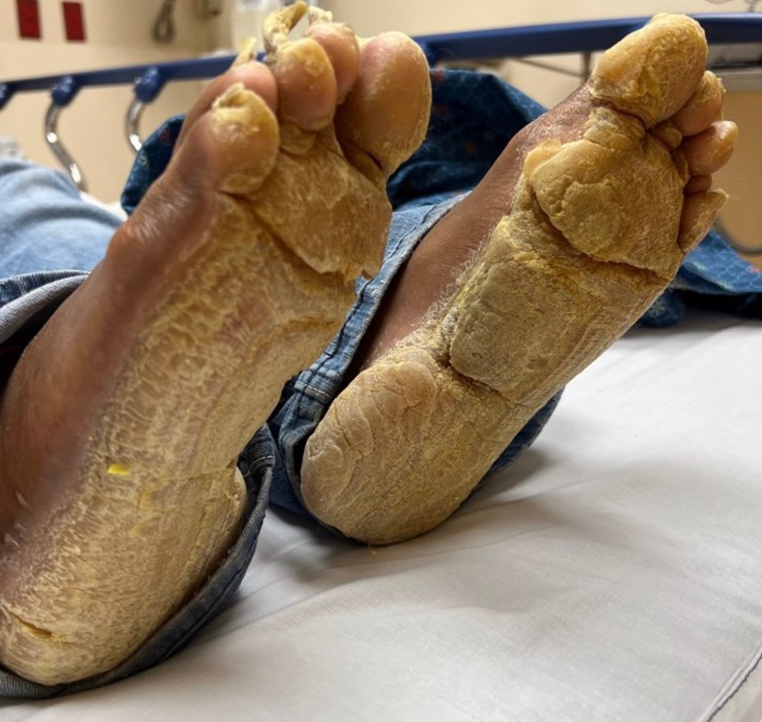 Dermnemonics tweet media