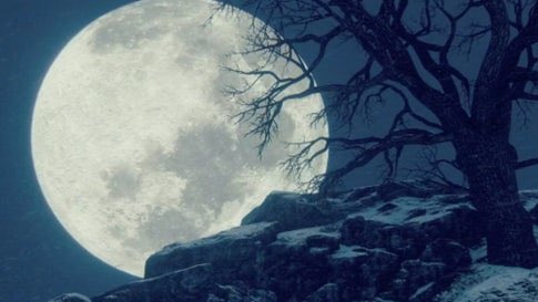 JosephLuten's tweet photo. Why Tonight’s Full Moon is Extra Special

From The Weather Channel iPhone App https://t.co/53IrfqDVO5 https://t.co/f6VZX3v0gH