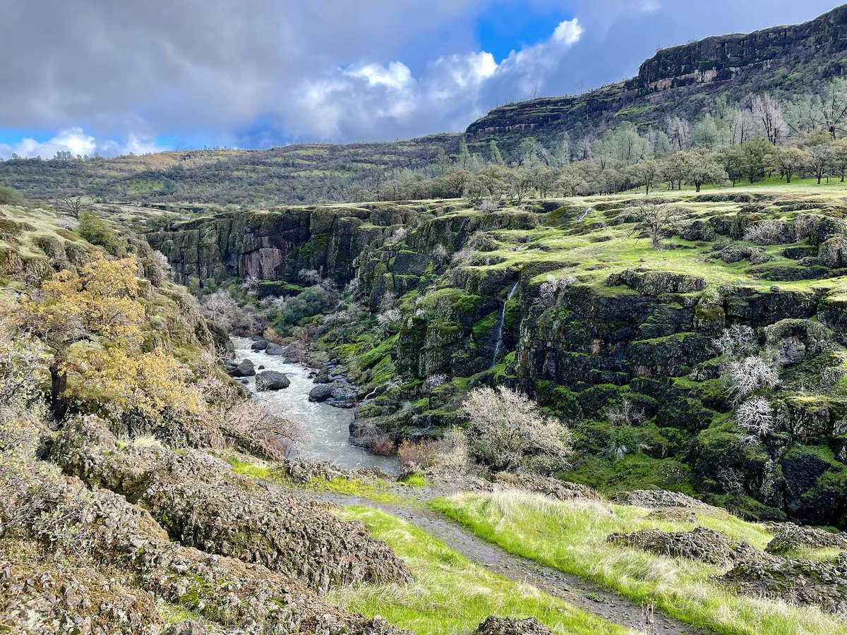 explorebutteca's tweet photo. Bidwell Park is looking extra beautiful after the most recent rains π§οΈπ
π· gbettencourt81/IG
#ExploreButteCounty #ExploreButteCA #BUTTEifu https://t.co/B0atOInjBo