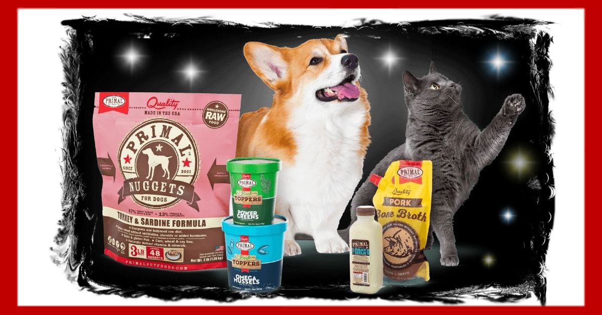 Boofy's Best for Pets (@boofysbest) on Twitter photo On the Sixth Day of Xmas my Boofy's offered me... big savings on all things <a href="/PrimalPet/">Primal Pet Foods</a>! Get up to 20% off Primal raw food, freeze-dried, goat milk, treats, bones & toppers! Today only, limited to stock on hand. #albuquerque #abq #boofys12daysofxmas #petfood On the Sixth Day of Xmas my Boofy's offered me... big savings on all things <a href="/PrimalPet/">Primal Pet Foods</a>! Get up to 20% off Primal raw food, freeze-dried, goat milk, treats, bones & toppers! Today only, limited to stock on hand. #albuquerque #abq #boofys12daysofxmas #petfood