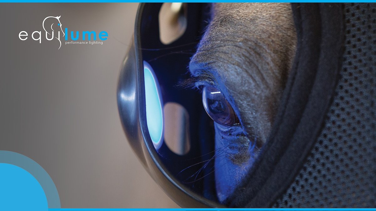 🔷We are auctioning 3 Curragh Light Masks to benefit the relief efforts for the devastation caused by the tornados in Western KY. All proceeds will go directly to <a href="/KYTbred/">Kentucky Thoroughbred Association</a>
 relief fund &amp; will be matched by Equilume

🔷Submit bids to KYFUND@equilume.com before Mon 20th Dec 5pm GMT