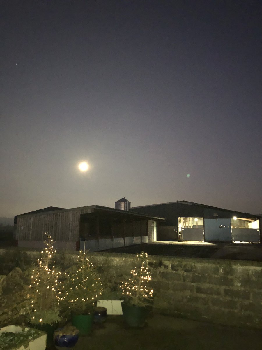 It’s moonshine 🌝 over the cow 🐄 shed time again 💕
#FullMoon