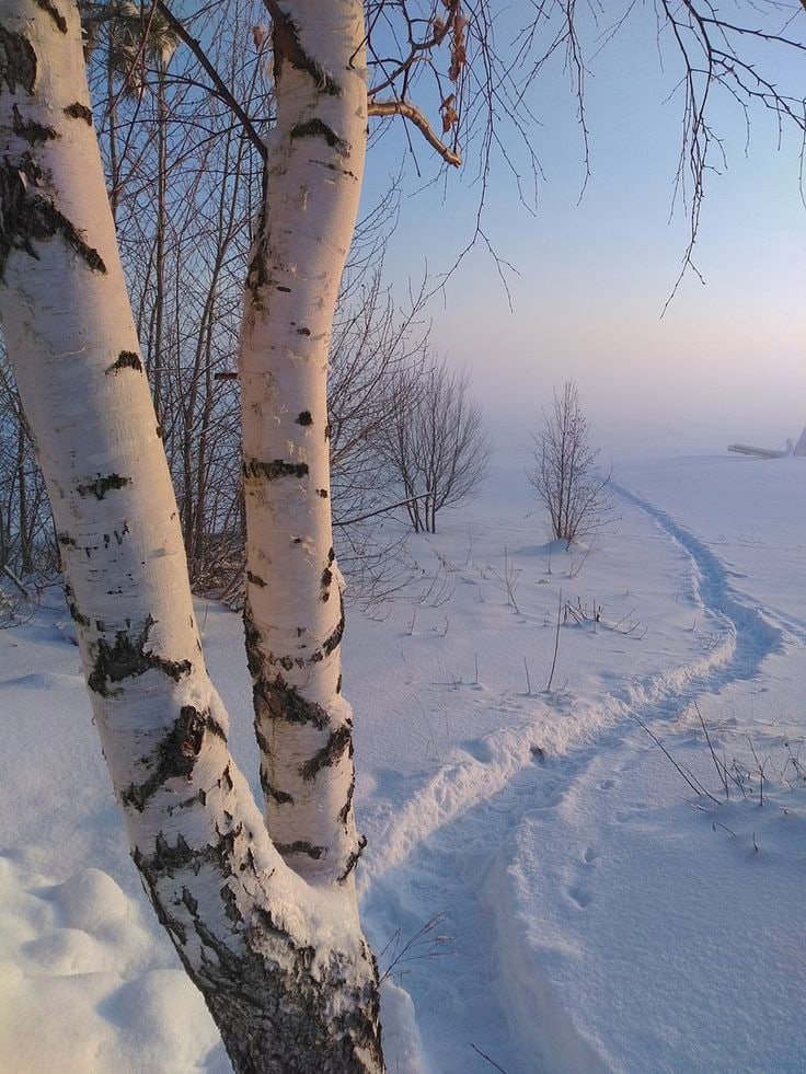 💦Nikita 🌼 tweet media