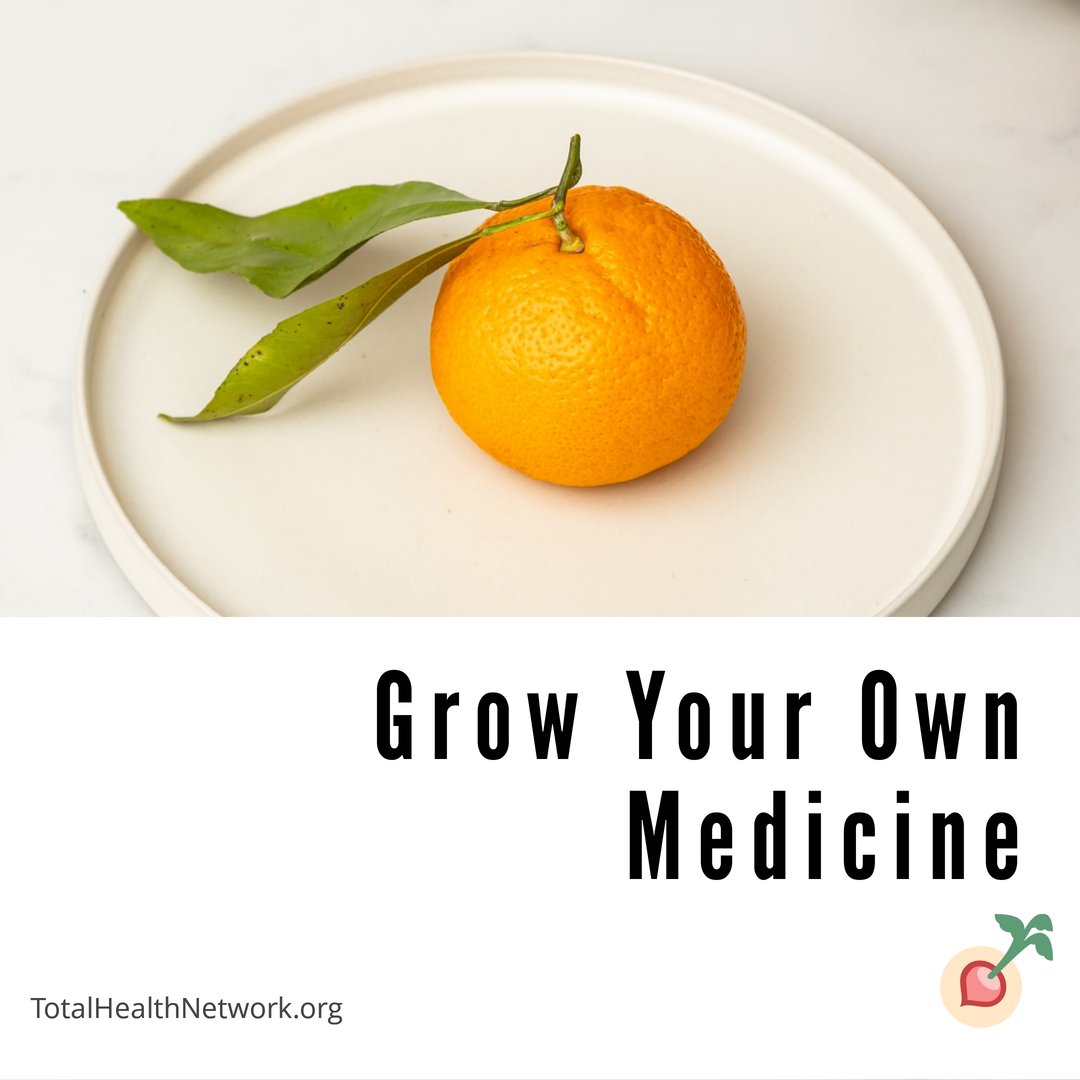 TotalHealthNet1's tweet photo. You Don't Want To Miss This Episode!!!

Practical Health for NOW.   Grow your own medicine.  You may already have some of these items in your cabinet or growing in your yard.

https://t.co/5KcS8eBJbb https://t.co/Pa6wn7uqQp