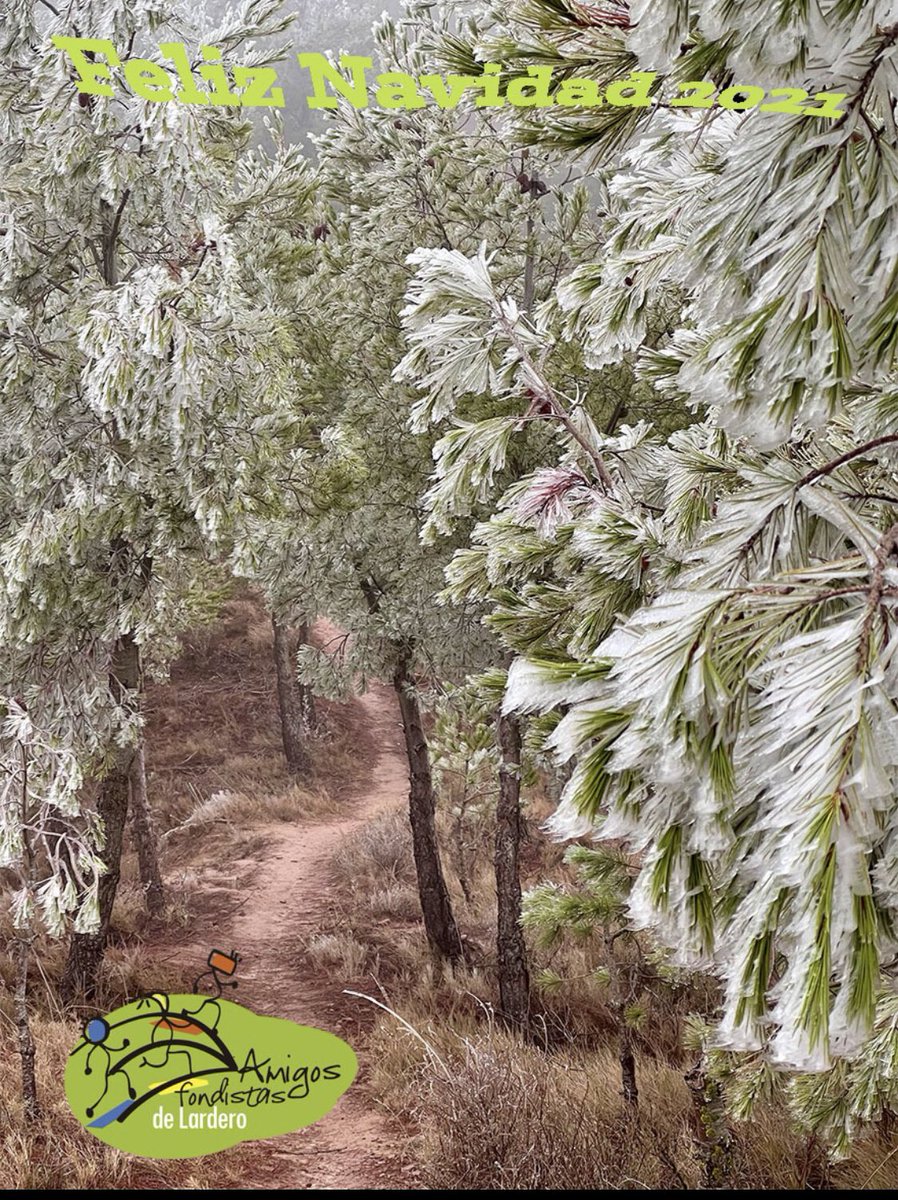 Con una de las imágenes de la salida de hoy aprovechamos para felicitación #DisfrutarCorriendo