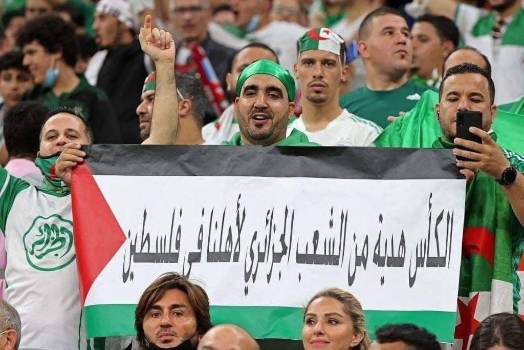 DeemaShawa's tweet photo. الف مبروك لمحاربي الصحراء شكرا الجزائر شكرا تونس شكرا قطر على هالتنظيم الرائع ما في احلا ولا انبل من اهداء هالفرحة لفلسطين 🇵🇸🇩🇿🇹🇷🇶🇦 🤍🤍❤️❤️✌🏻✌🏻✌🏻🎉🎉 https://t.co/5O3dYLt0Ms