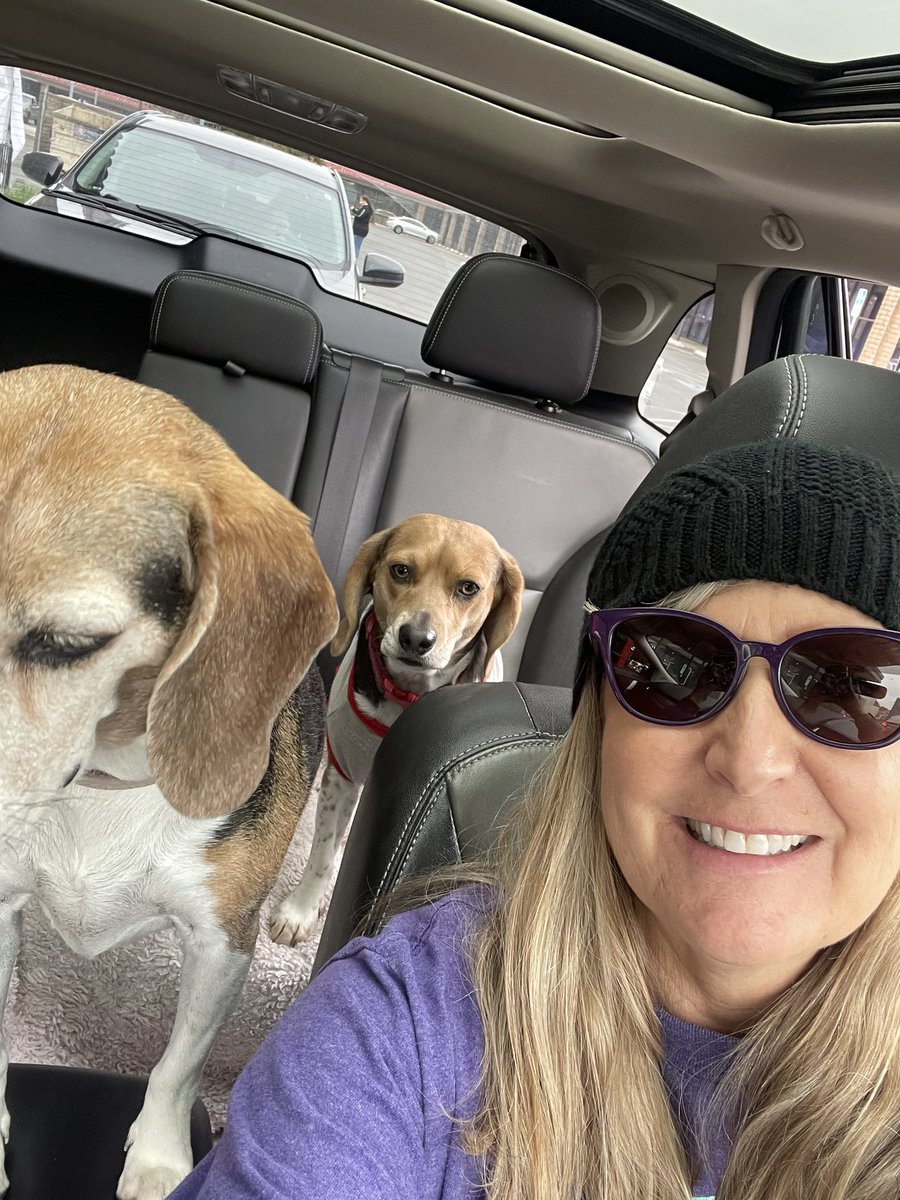 lucymagsisfurs's tweet photo. #barkpark
#puppaccino
#notinthatorder
@dutchbrosfresno https://t.co/VWUqND2uYi